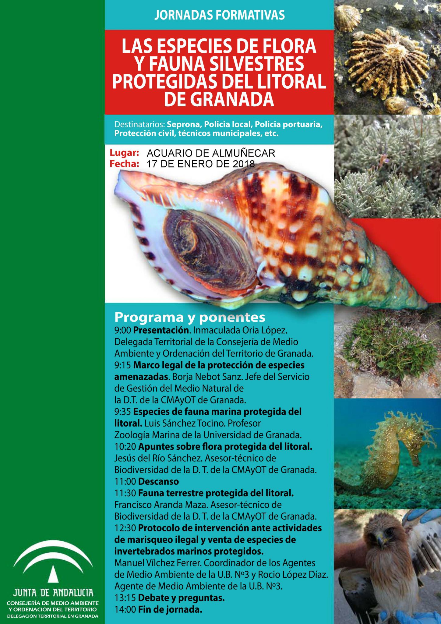 JORNADA FONDOS MARINOS ALMUÑECAR 18